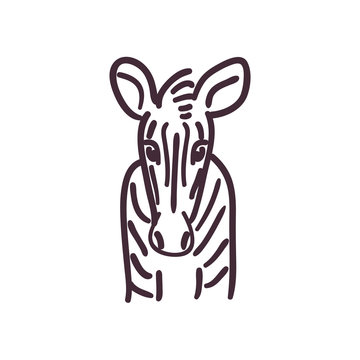 zebra cartoon line style icon vector design