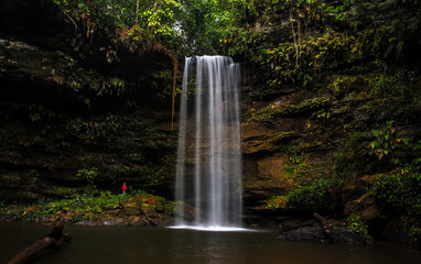 Fototapeta premium cerrado waterfall