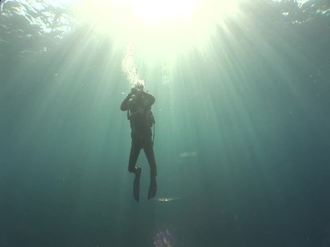 silhouette of scuba divers on surface of water underwater ascend descend sun beams and rays ocean scenery