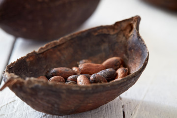 Cocoa Pod On White Wooden Table