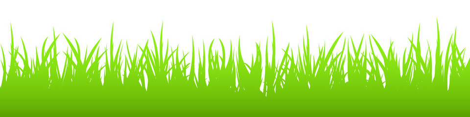Fototapeta premium Green grass on white background, silhouette. Panoramic view, vector illustration.