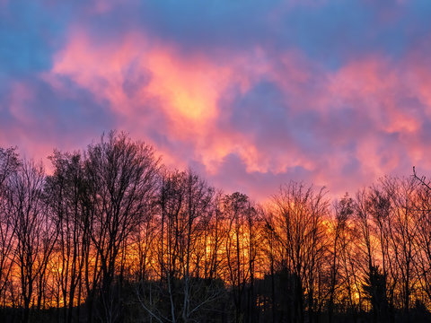 dramatic sunset over trees with pink orange and purple sky