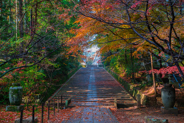 京都　光明寺の紅葉