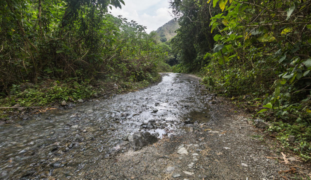 image of a country dirt road high in the caribbean mountains of La Cienaga, Dominican Republic.