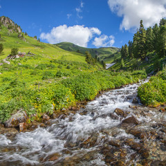 Mountain creek, picturesque spring view. Clean stream, green meadows, blue sky.
