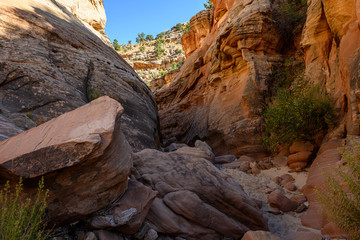 Large Boulders In Sandstone Canyon