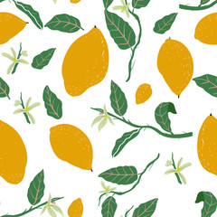 Lemon hand drawn seamless pattern
