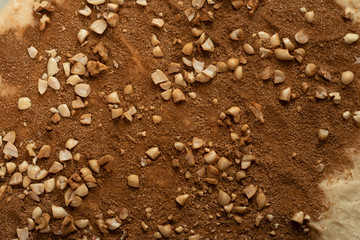 surface of a layer of dough covered with cinnamon, sugar and nuts. pie texture of the cake. Cooking roll.