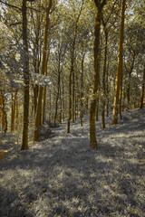 Fototapeta premium high peak white out scene