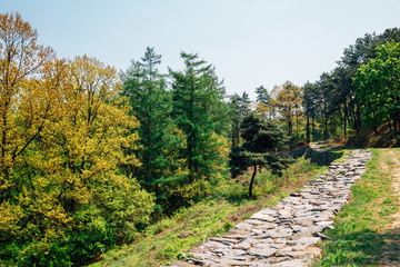Jukjusanseong mountain fortress with green trees in Anseong, Korea