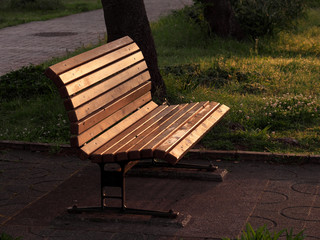 Tokyo,Japan-May 5, 2020: Bench in the morning light in a park 
