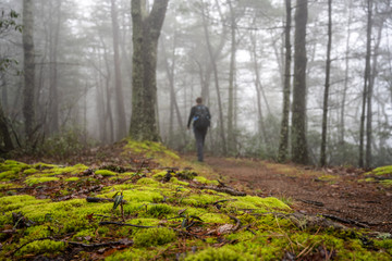 Fototapeta premium Hiker Heads Along Foggy Ridge Top