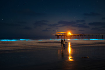 Bioluminescence San Diego Scripps Pier 
