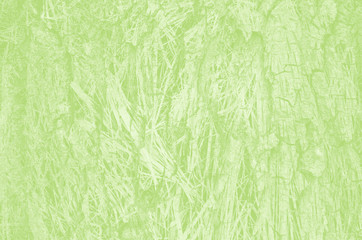 Obraz na płótnie Canvas abstract light green background with copy space for design