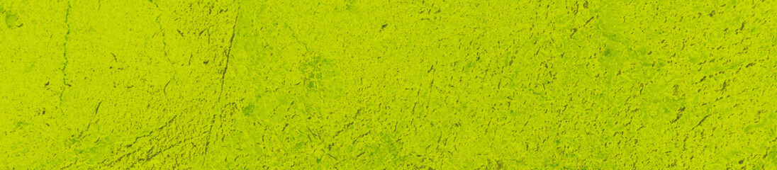 abstract lime and green colors background for design