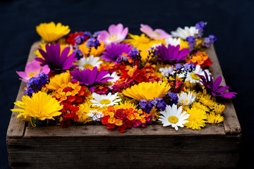 flowers on wooden background