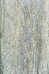 Naklejka premium Texture of old vintage dry gray wood