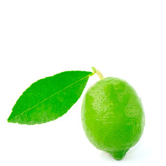 Closeup Fresh lime or citrus-fruit of lime with green leaf isolated on white background