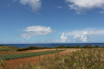 rural landscape and sea in okinawa