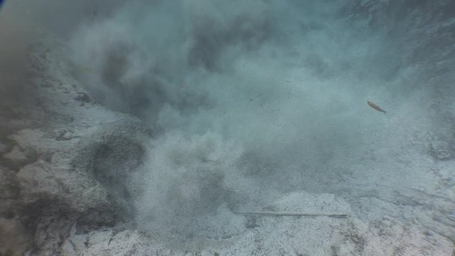 freshwater spring underwater of a river water coming out of the bottom of water from sand
