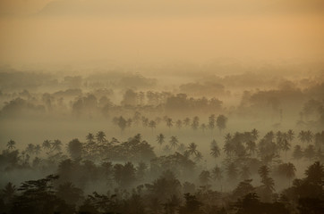Morning mist over Pagak, Malang East Java - Indonesia
