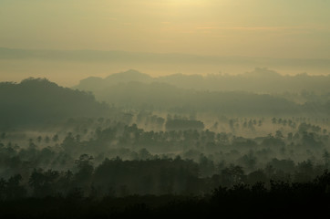 morning mist over Pagak, East Java