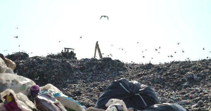 City dump household waste. Seagulls feeding on food waste fly over the mountains of garbage in slow motion. Global warming, Ecology, Enviroment pollution concept. 