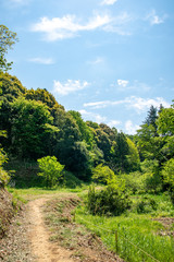 【ふるさとイメージ】神奈川県 寺家ふるさと村
