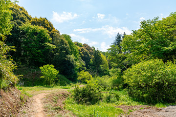 Obraz premium 【ふるさとイメージ】神奈川県 寺家ふるさと村