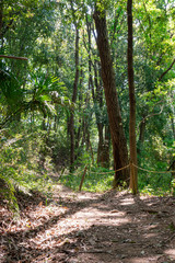 【ふるさとイメージ】神奈川県 寺家ふるさと村