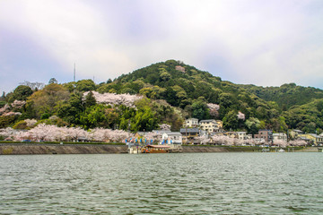 Naklejka premium 瀬田川