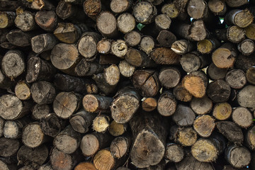 stack of firewood