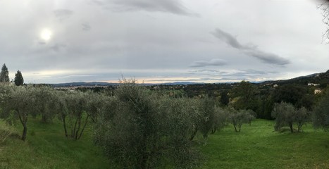 Panoramic view over the forest in Fiesole Florence