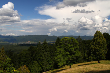 Forest glade in the mountains in the rays of the summer sun. Mountain ranges and a village in the background. Light clouds over the mountains in the blue summer sky