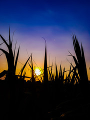 beautiful dramatic blue sky with clouds at sunset time
