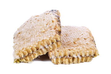 Larva Honey Bee in Bee hive on white background