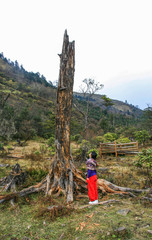 hiker in the mountains