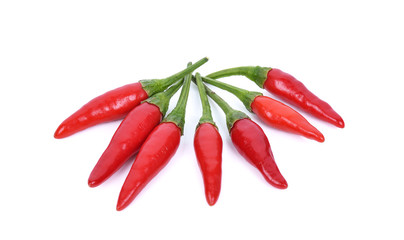 bird chili isolated on white background