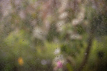 Raindrops on glass of window with dark green nature blurred in background, Rain droplets on window during the big storm.