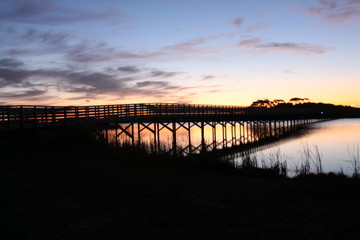 Gulf Shores Reflections 2020 I 