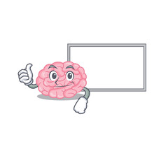 Humorous human brain cartoon design Thumbs up bring a white board