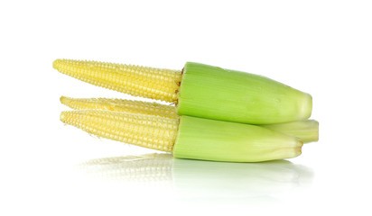 baby corn isolated on white background