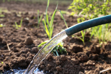 Water pouring from a hose to the ground