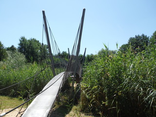 A bridge between vegetation