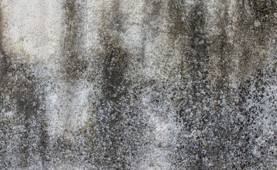 Old and deteriorated stone texture with remains of moss and vegetation