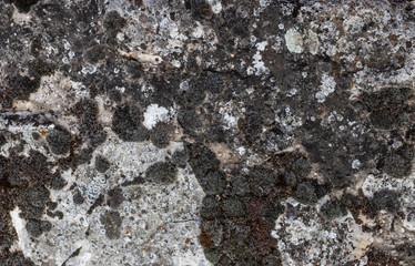 Old and deteriorated stone texture with remains of moss and vegetation