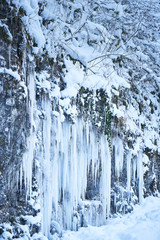 Icicles on the rock. Frozen waterfall in winter.