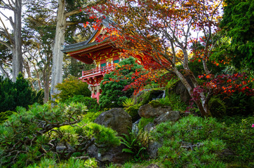 Beautiful view of the pagoda in the Japanese Tea Garden, San Francisco
