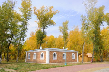 Fototapeta na wymiar old house, house in Russia and Kazakhstan, old house, autumn, wooden house