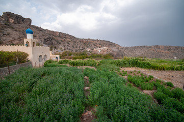 Fototapeta na wymiar Jabal Al Akhdar mountain in Nizwa, Oman